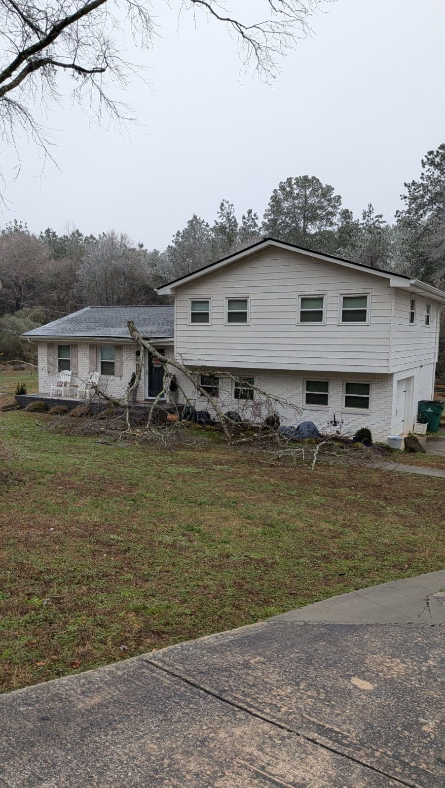 Project Swift Storm Damage Repair After Tree Fall image